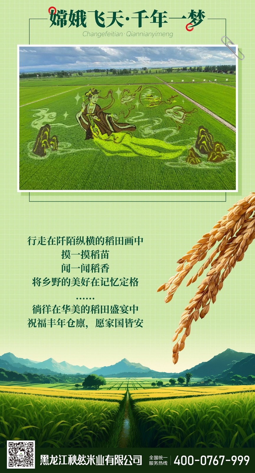 1705113209836328.jpg