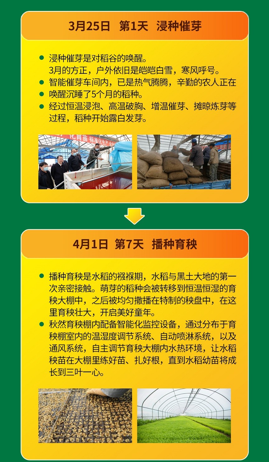 1705115459312949.jpg