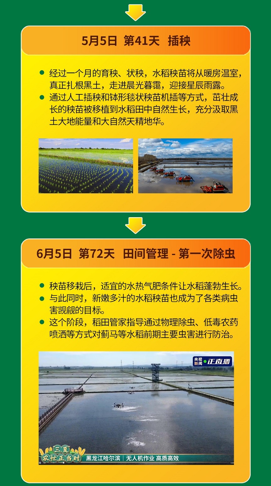 1705115460976254.jpg